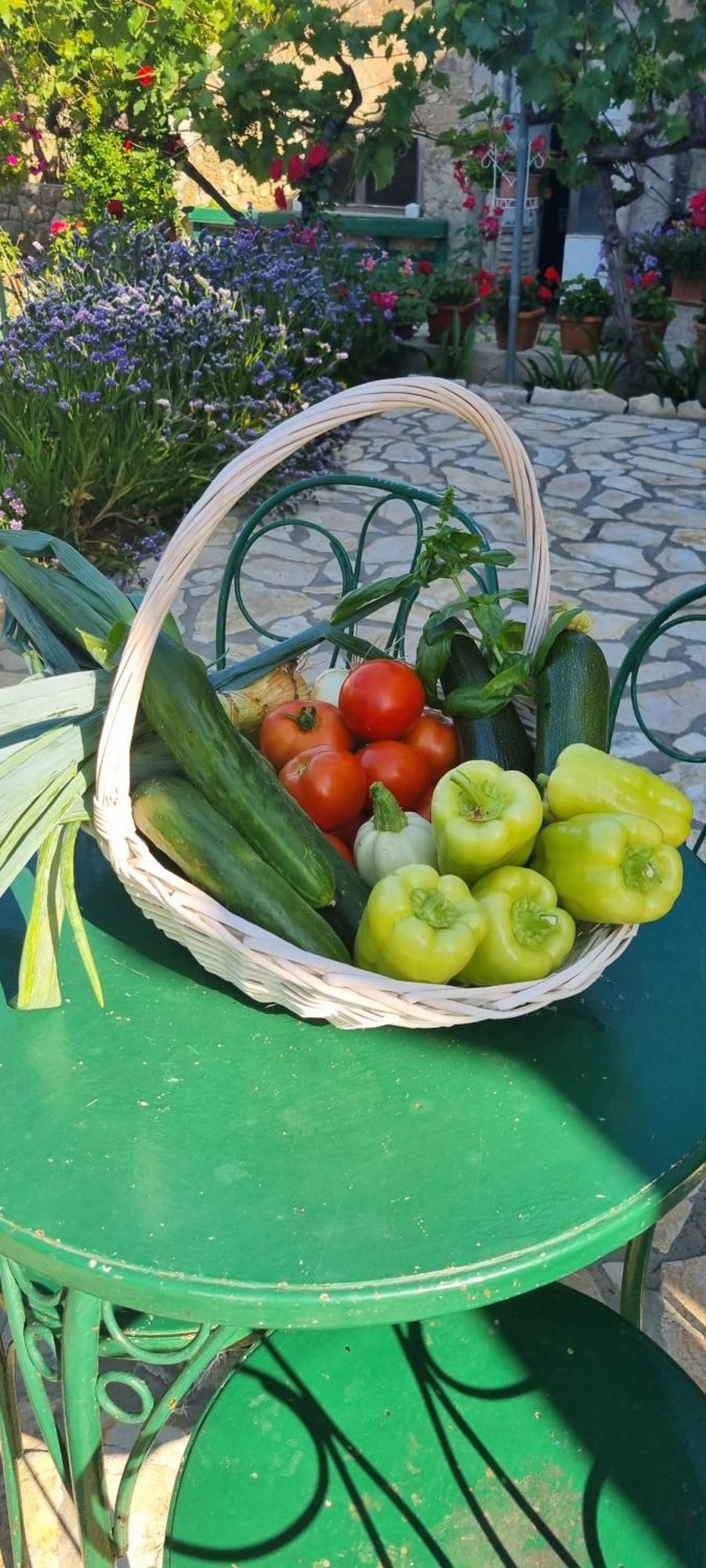 Senkini Dvori Appartement Sutomiscica Buitenkant foto